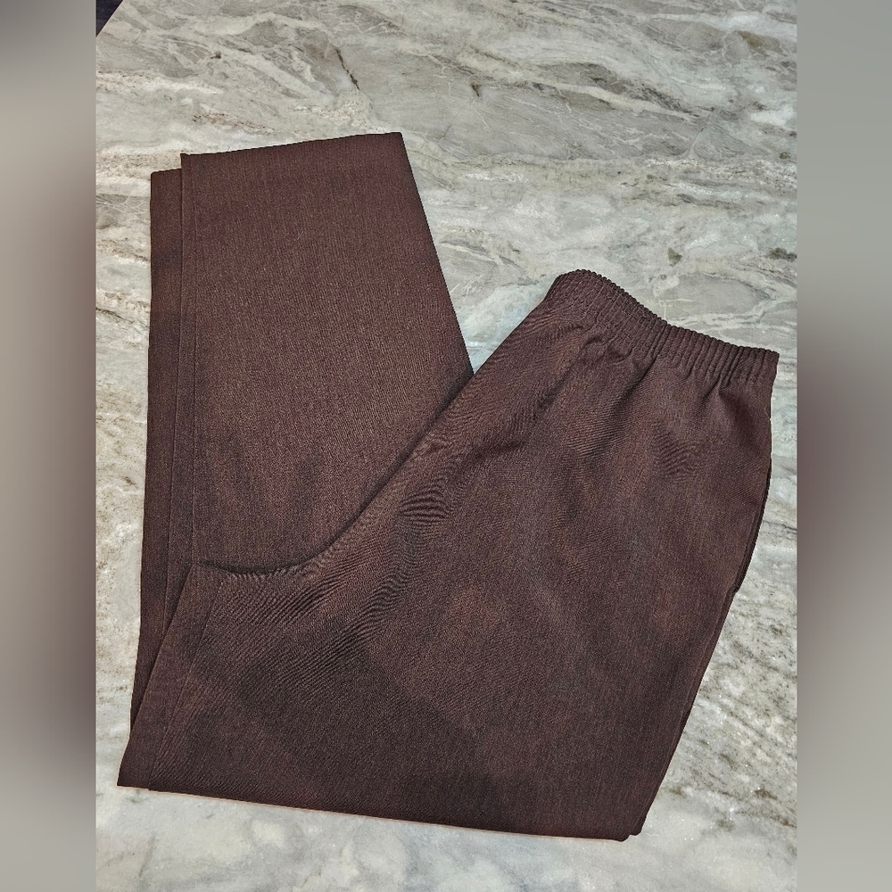 Alia Petites Brown Pull-On Pants Size 16P Comfort Waist Elastic Stretch Trousers